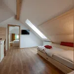 Kunstelj 3*