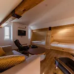 Kunstelj 3* Radovljica