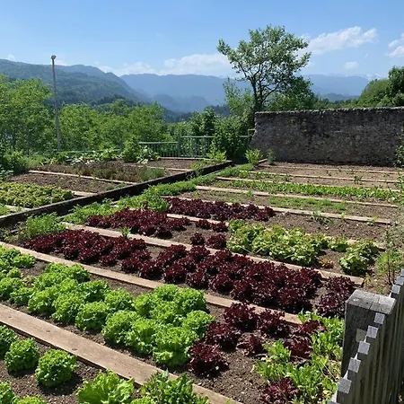 Kunstelj Penzion Radovljica