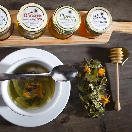 Penzion Kunstelj Radovljica