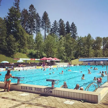 Kunstelj Penzion Radovljica