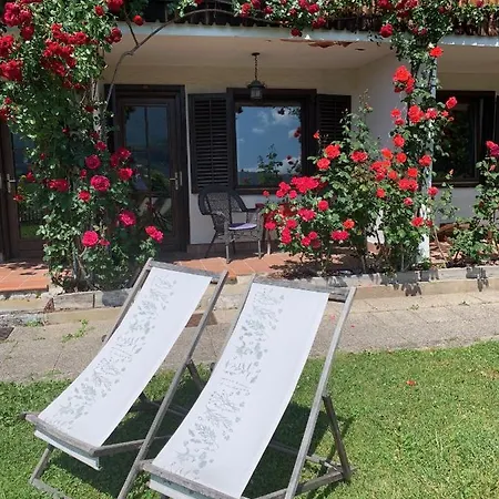 Kunstelj Guest house
