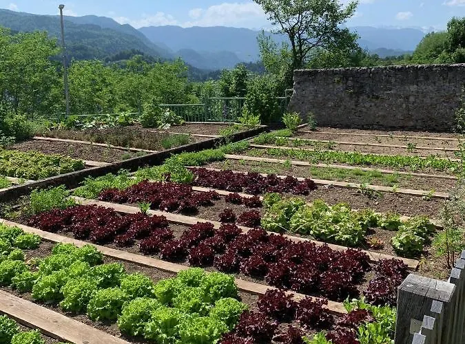 Kunstelj בית הארחה רדובליצ'ה