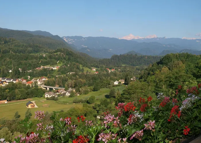 בית הארחה Kunstelj