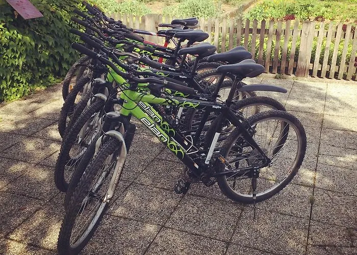 בית הארחה Kunstelj