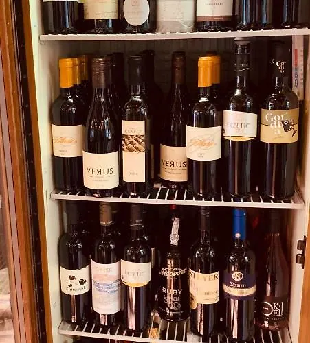 Kunstelj רדובליצ'ה